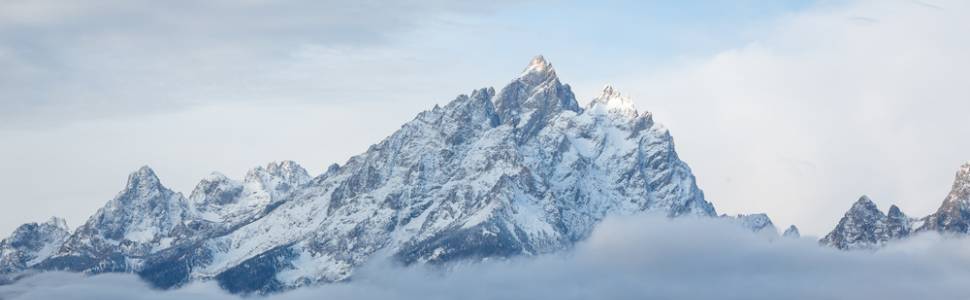 Fall Colors in Jackson Hole