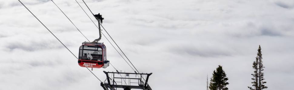 Local Activities to Elevate Your Jackson Hole Experience