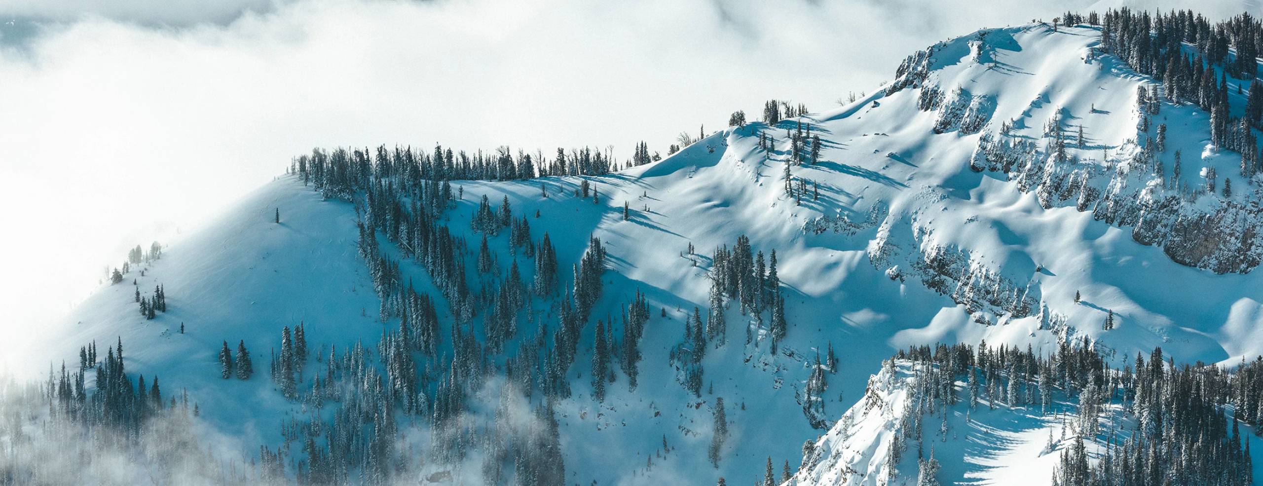 Untouched powder covering a section of Jackson Hole Mountain Resort