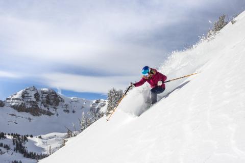 Winter Preview Winter Preview