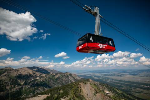 Tram