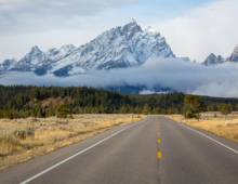 Fall Colors in Jackson Hole