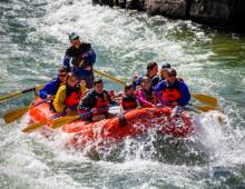 Local Activities to Elevate Your Jackson Hole Experience