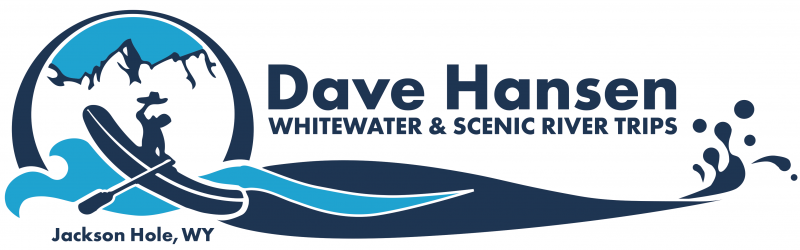 Dave Hansen